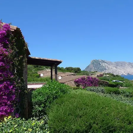 Casa Molara Holiday home San Teodoro (Sardinia)